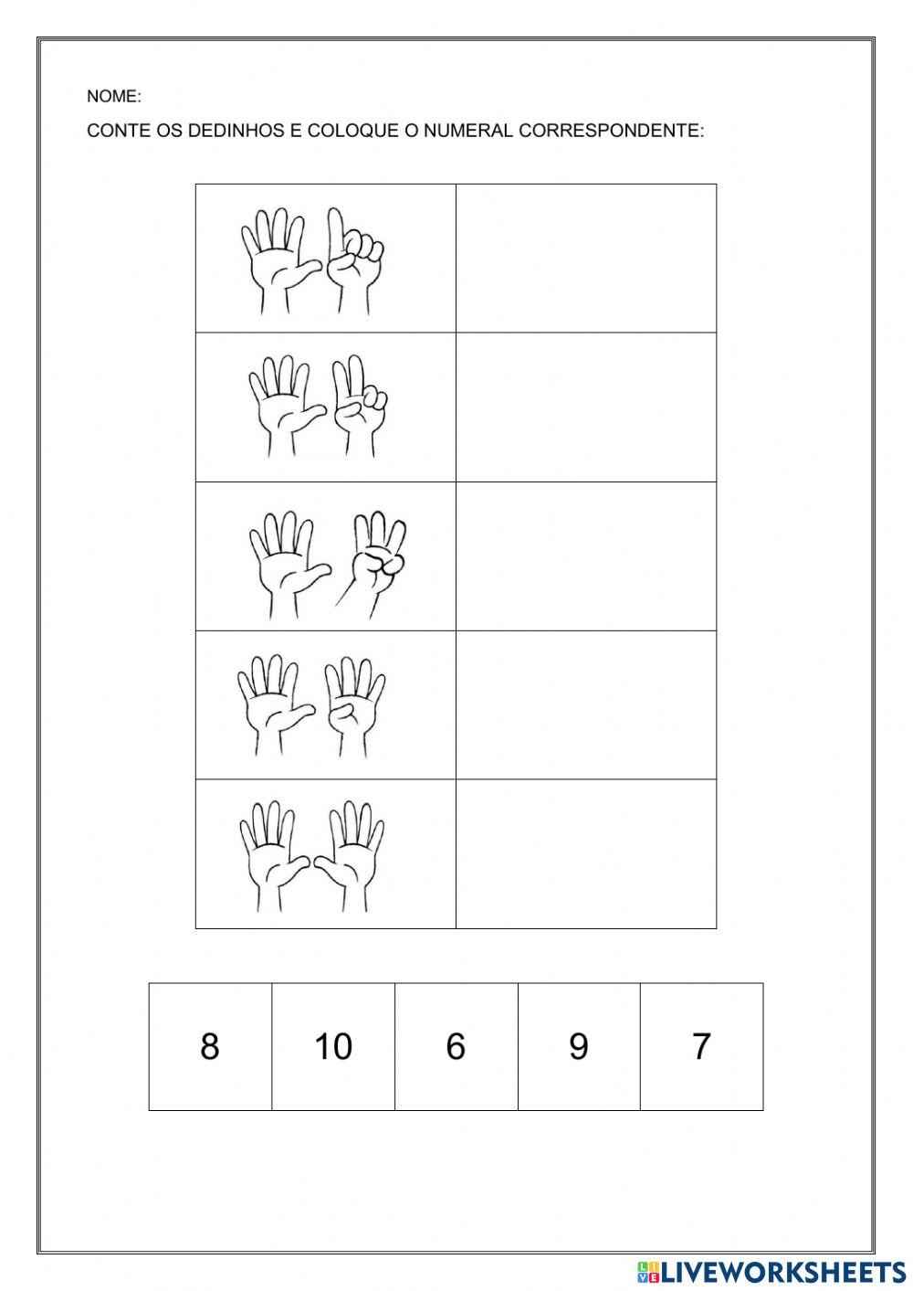 Numeral e quantidade
