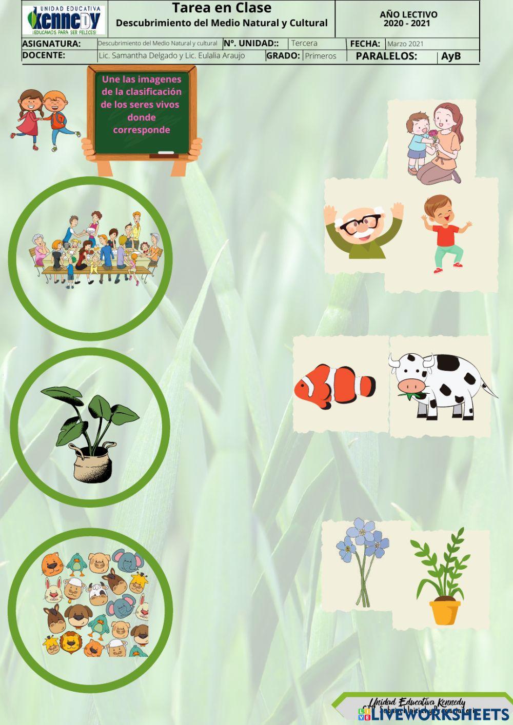 Clasificación de los seres vivos