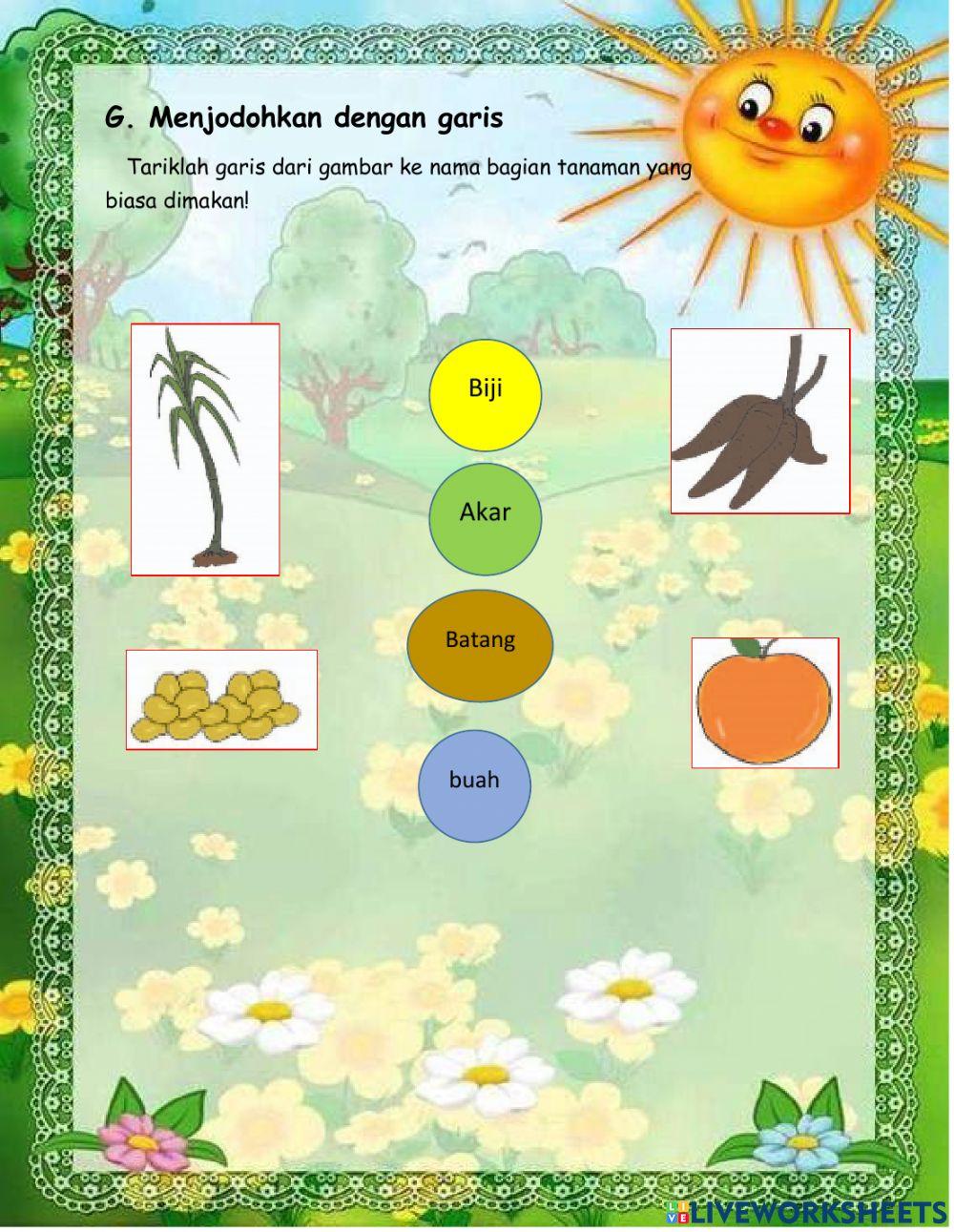 LKPD tema 7 Subtema 3 Pembelajaran 5