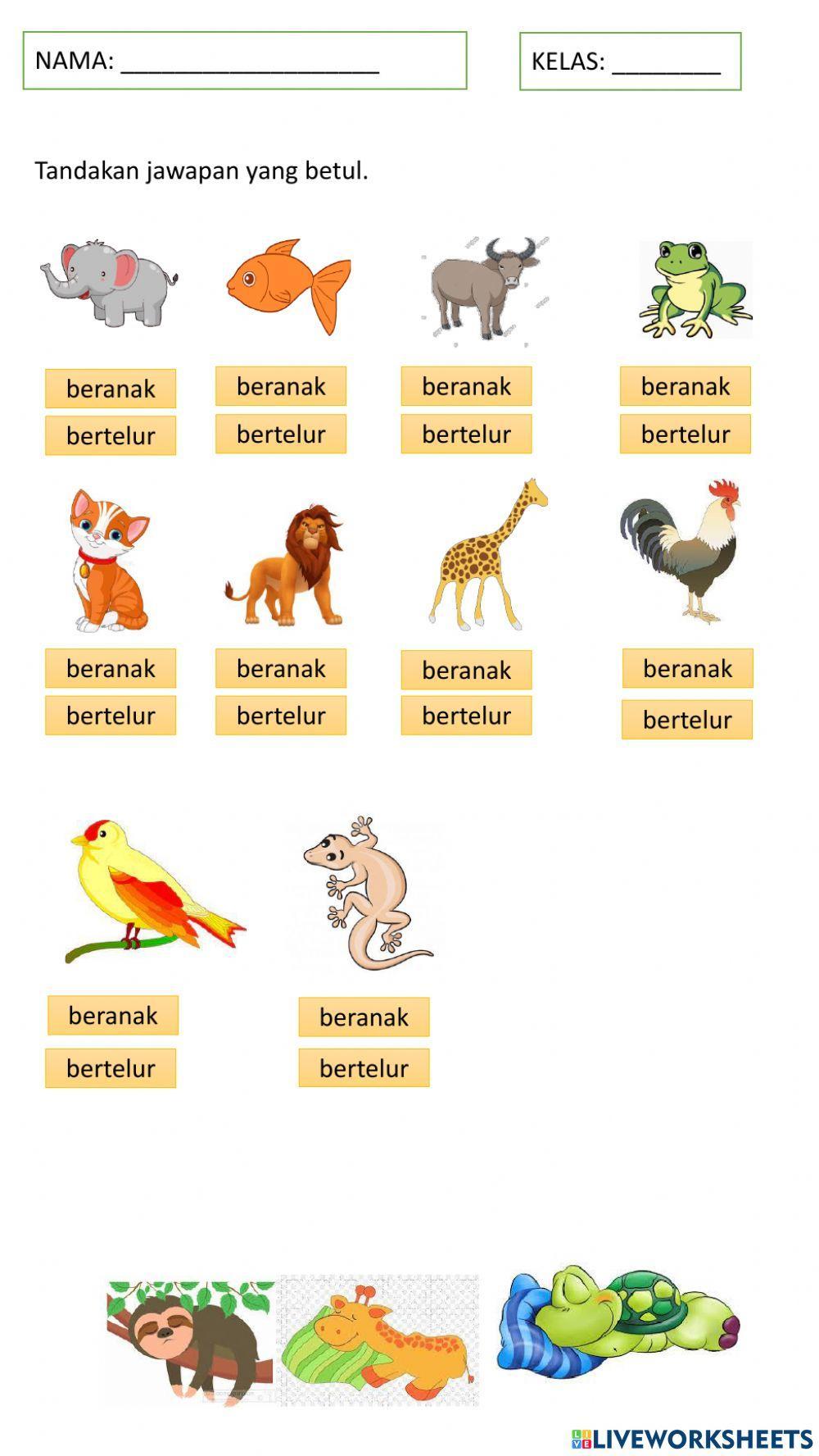 Haiwan bertelur dan beranak