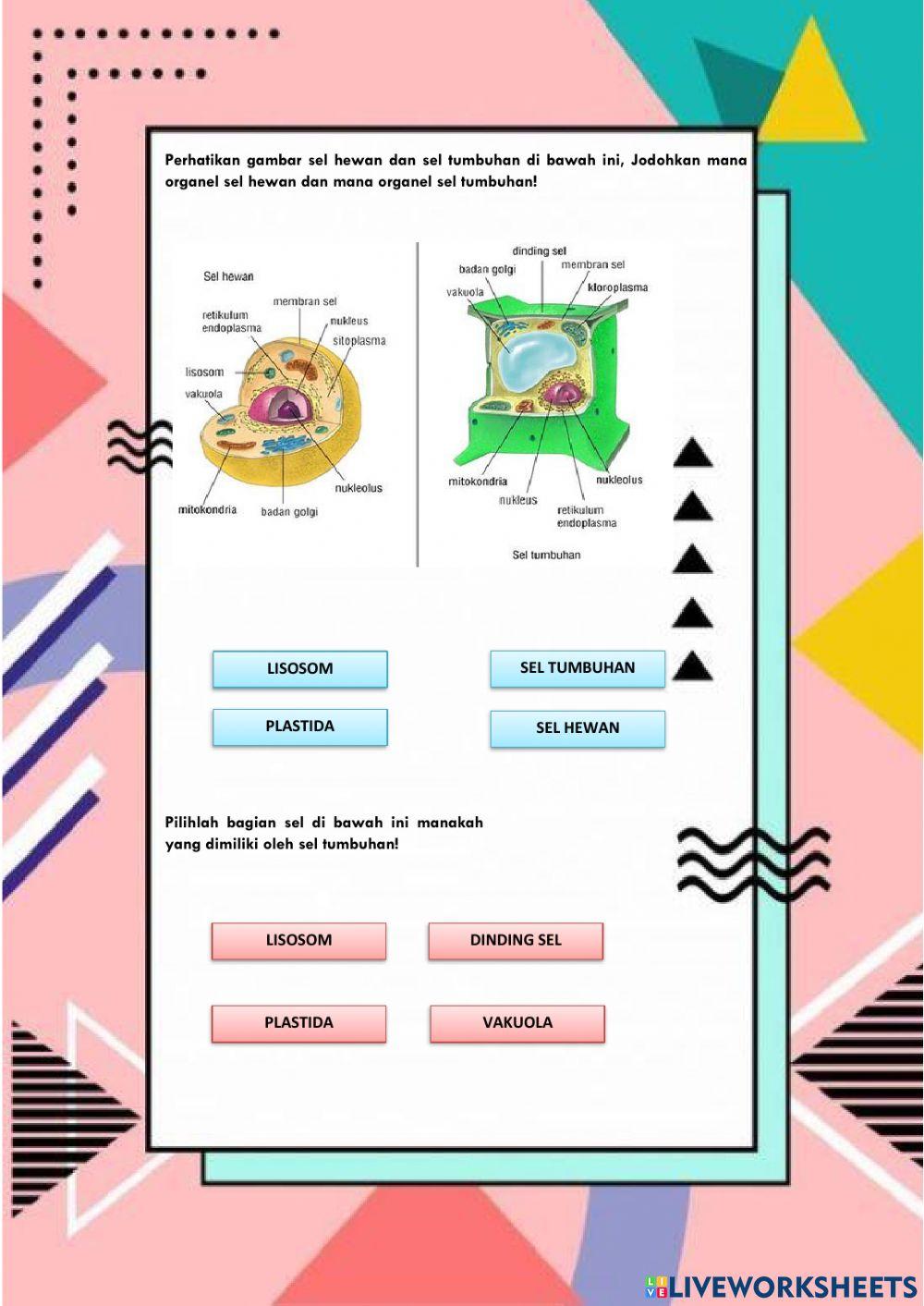 Bagian Sel hewan dan Sel Tumbuhan