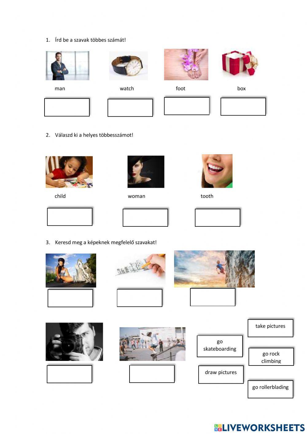 Plural nouns and free time