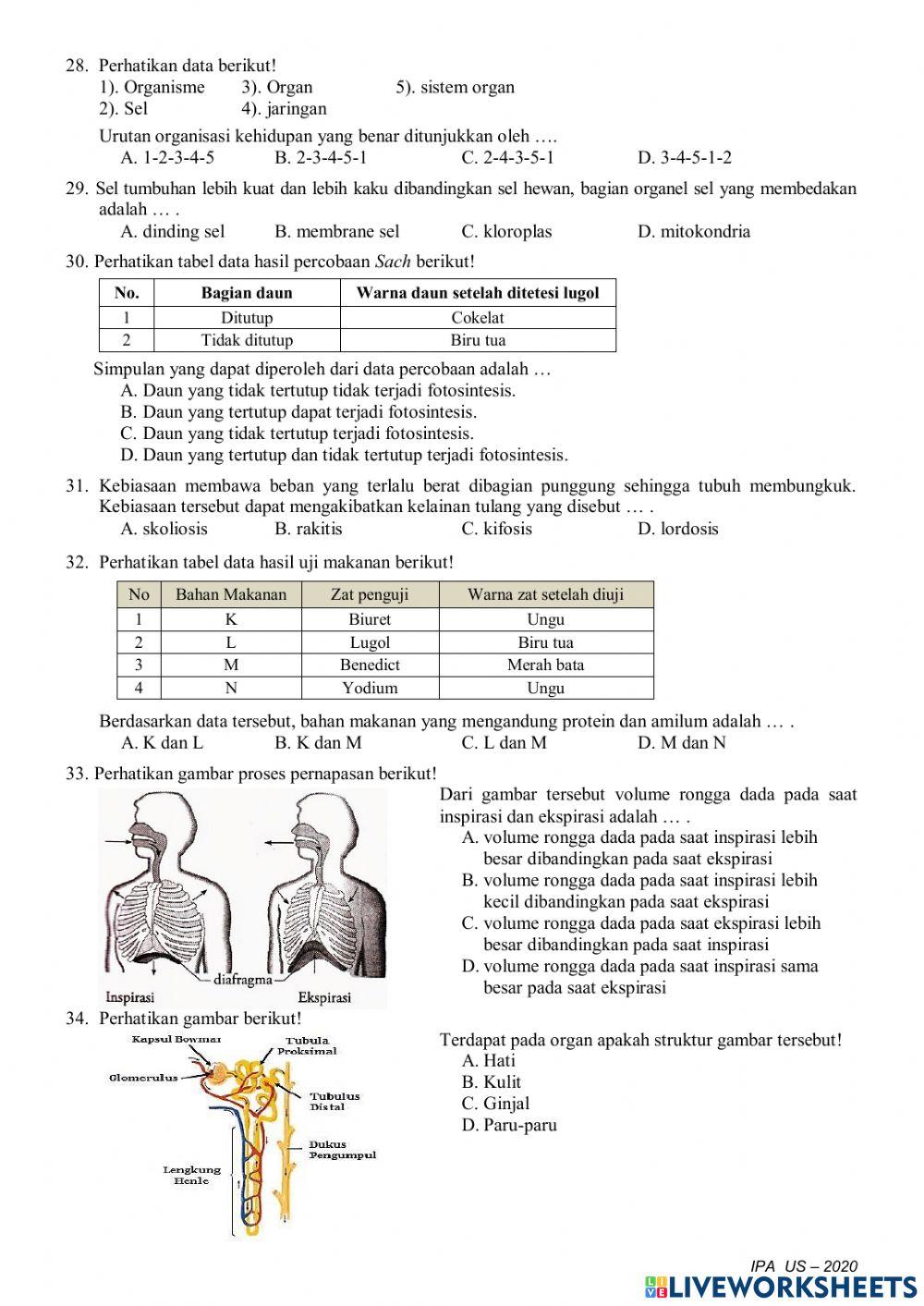 Soal us smpn satap 7 maja 2020-2021