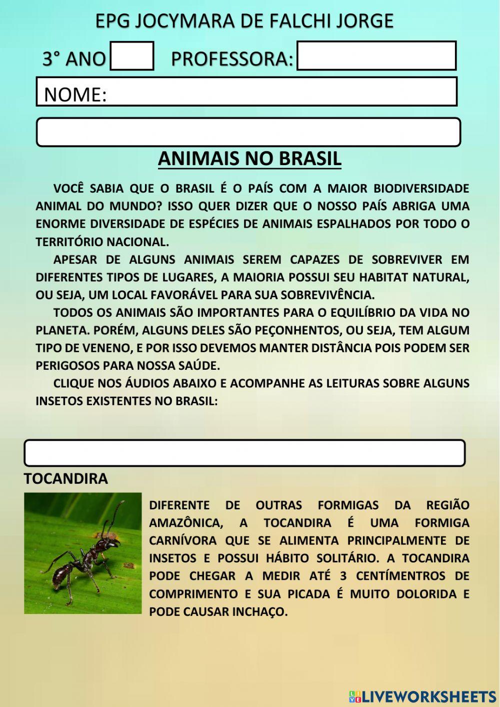 Animais por biomas