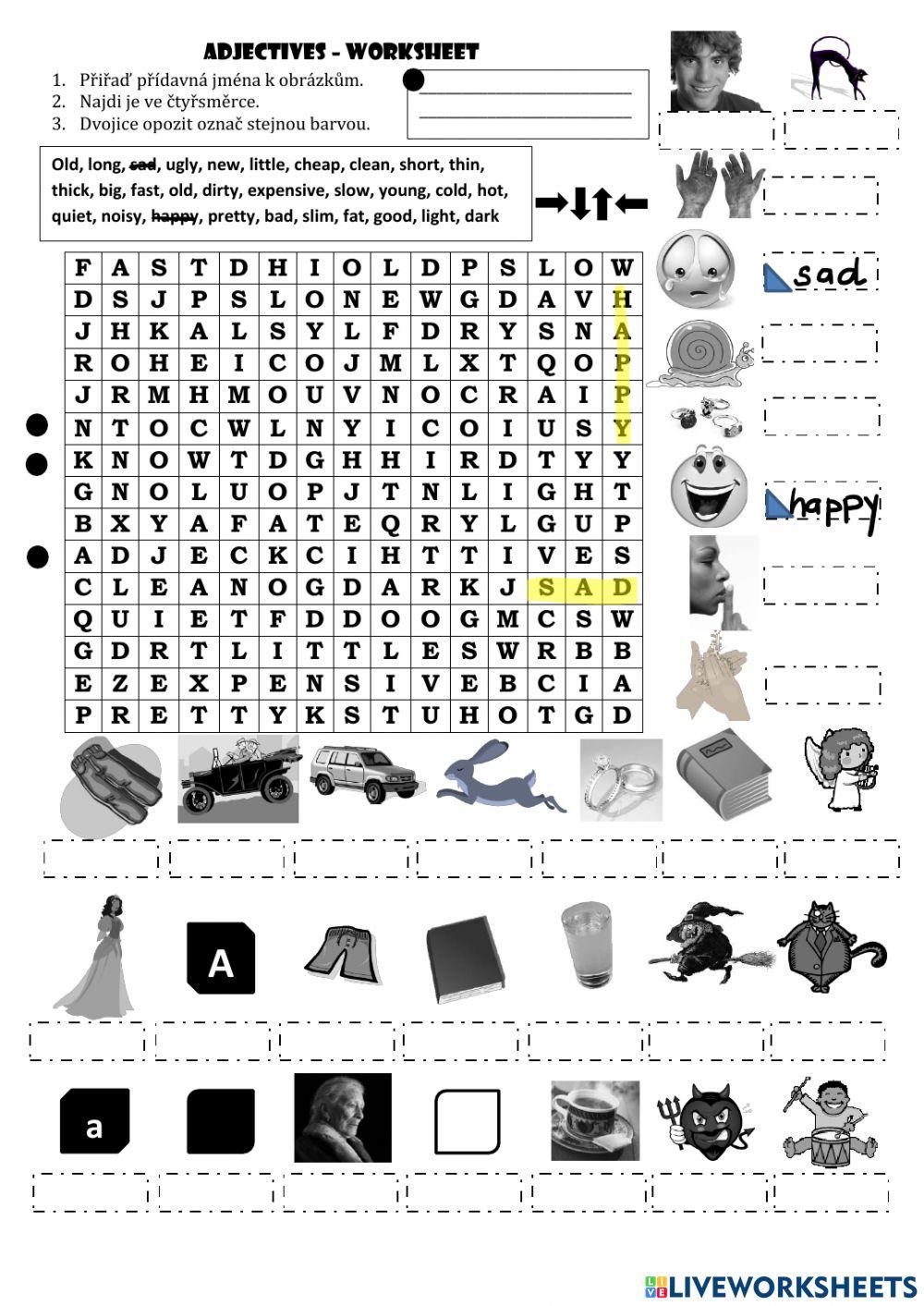 Adjectives - přídavná jména