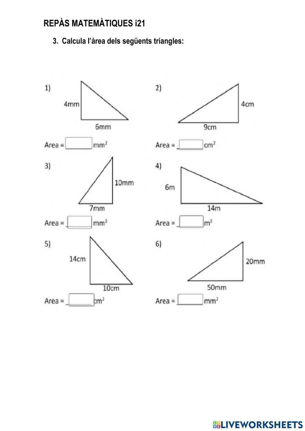 Repàs matemàtiques i21