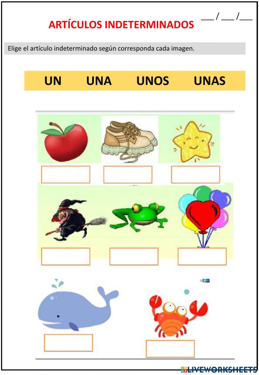 Artículos indeterminados