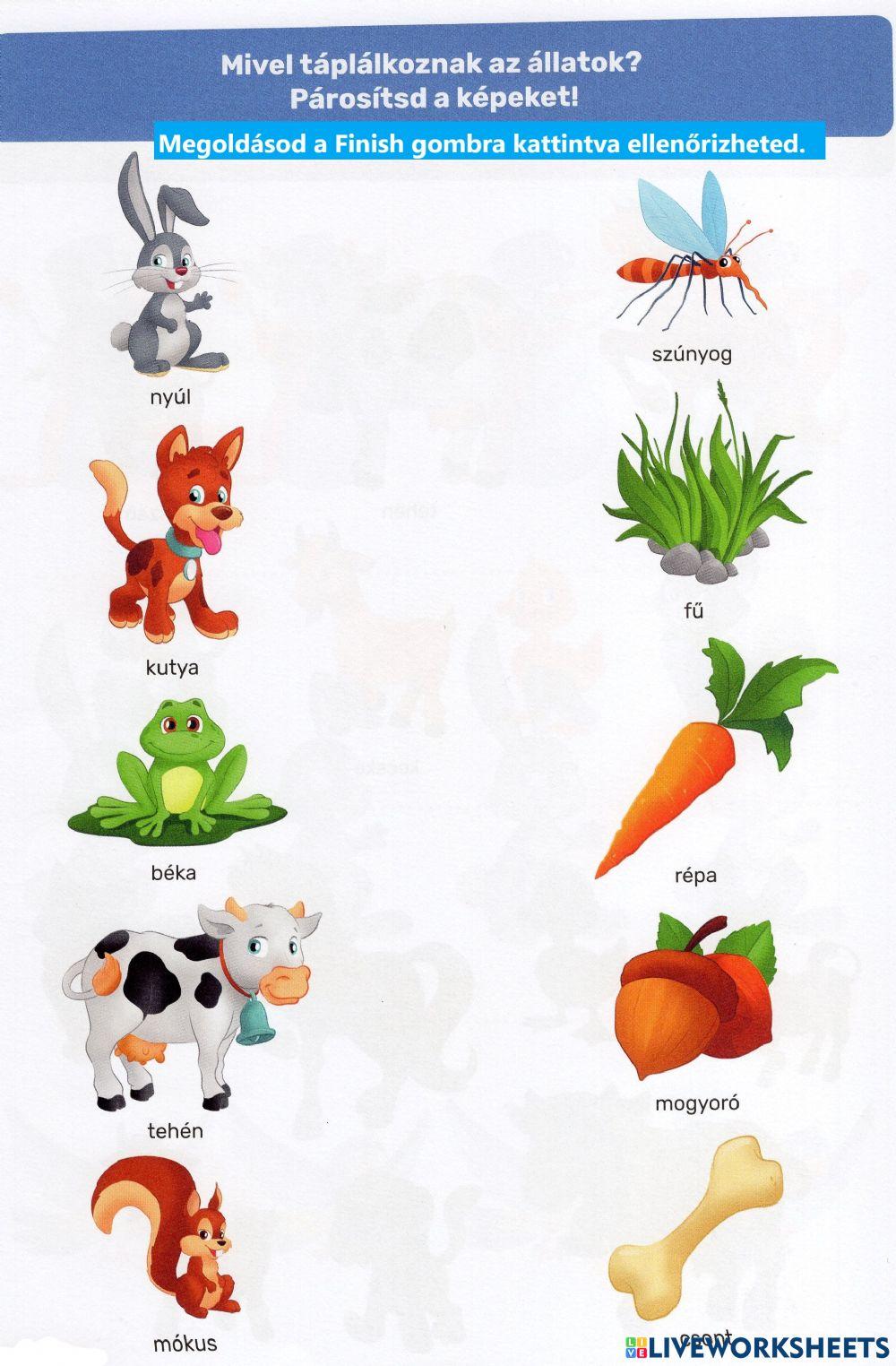 Állatok és táplálékuk