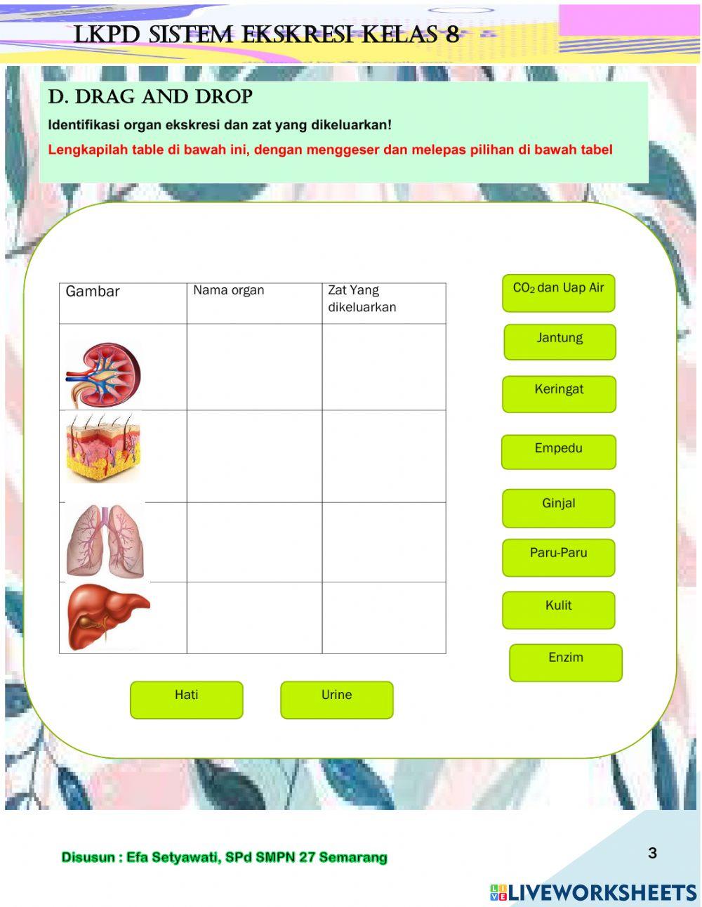 Lkpd sistem ekskresi