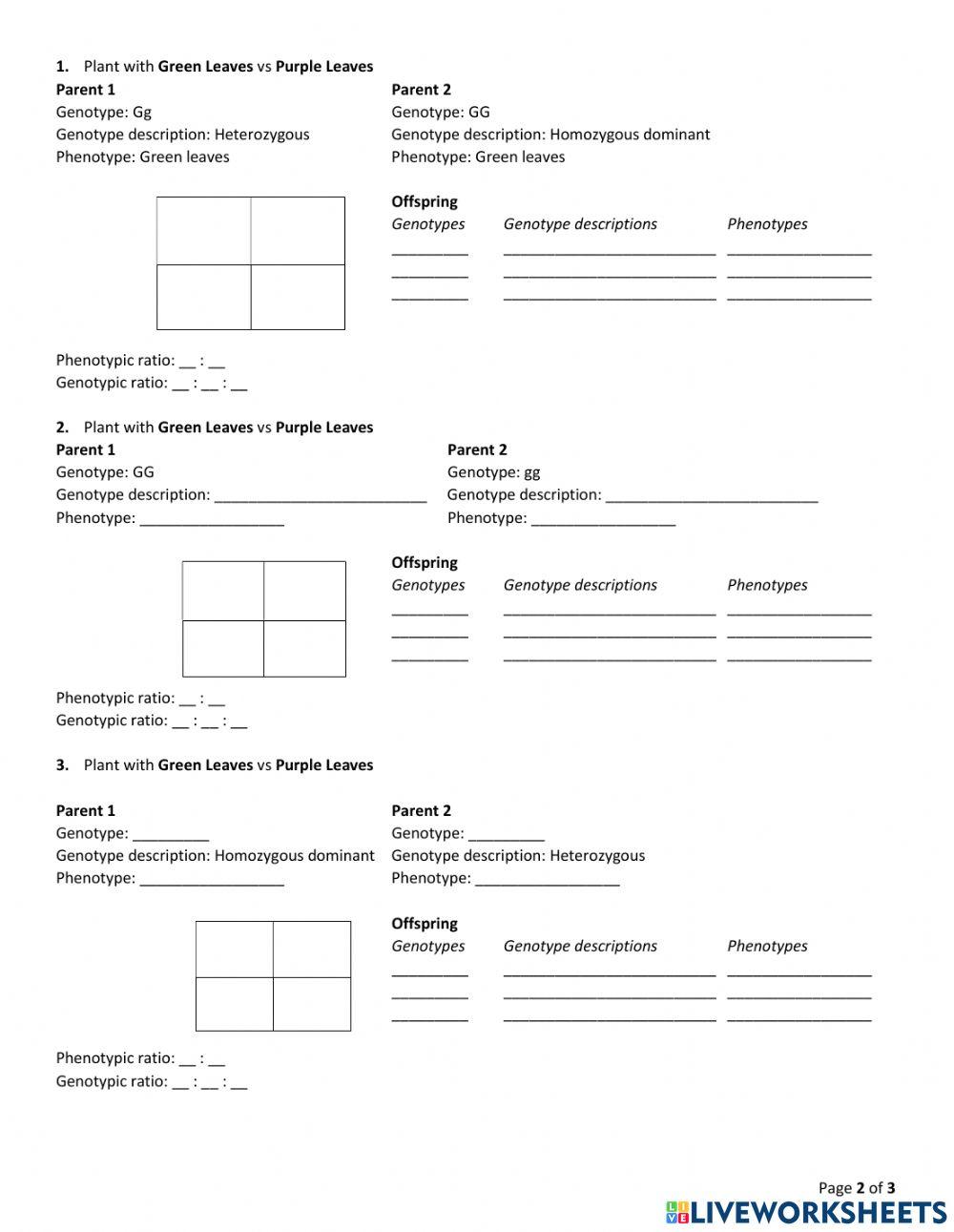 Unit 4 - Fun with Punnetts (Mono-Complete)