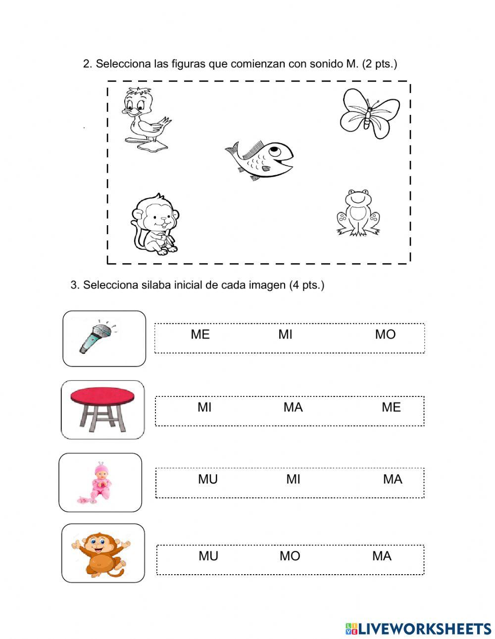 Prueba Diagnóstica Segundo Nivel de Transición
