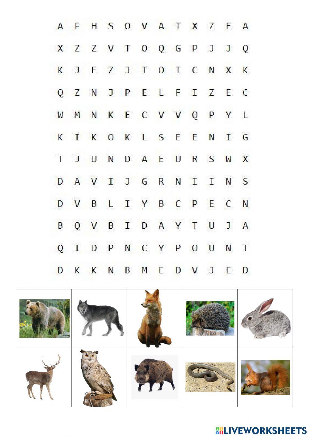 Divlje životinje - osmosmjerka