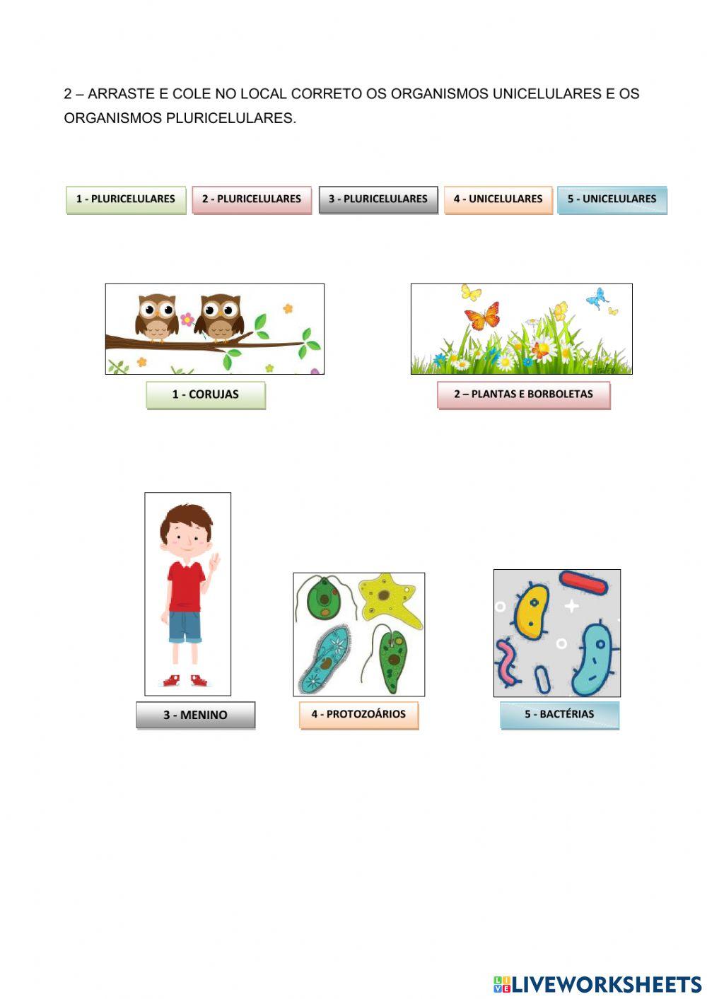 Citologia - atividade bem simples