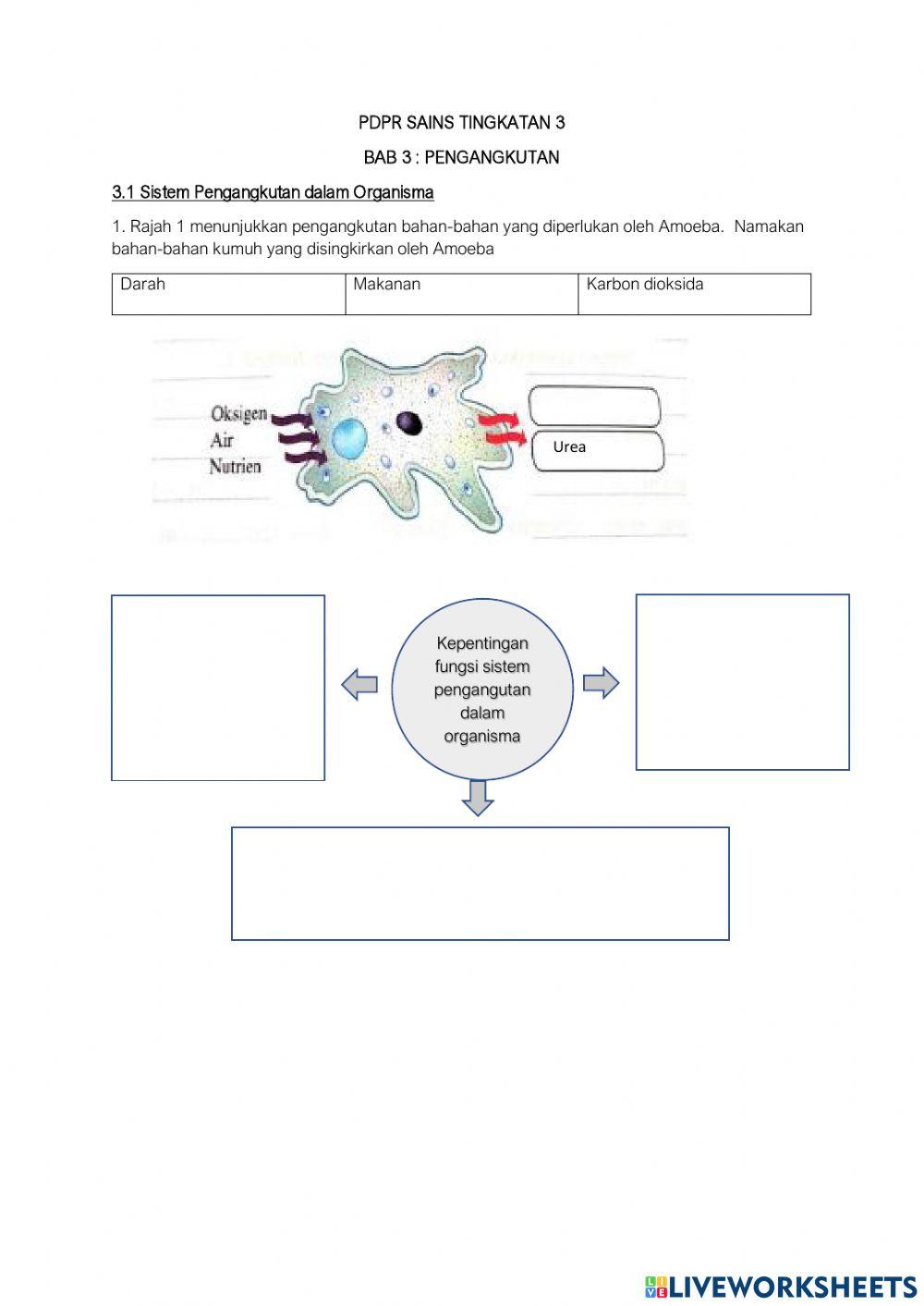 SAINS TINGKATAN 3 : 3.1 SISTEM PENGANGKUTAN ORGANISMA