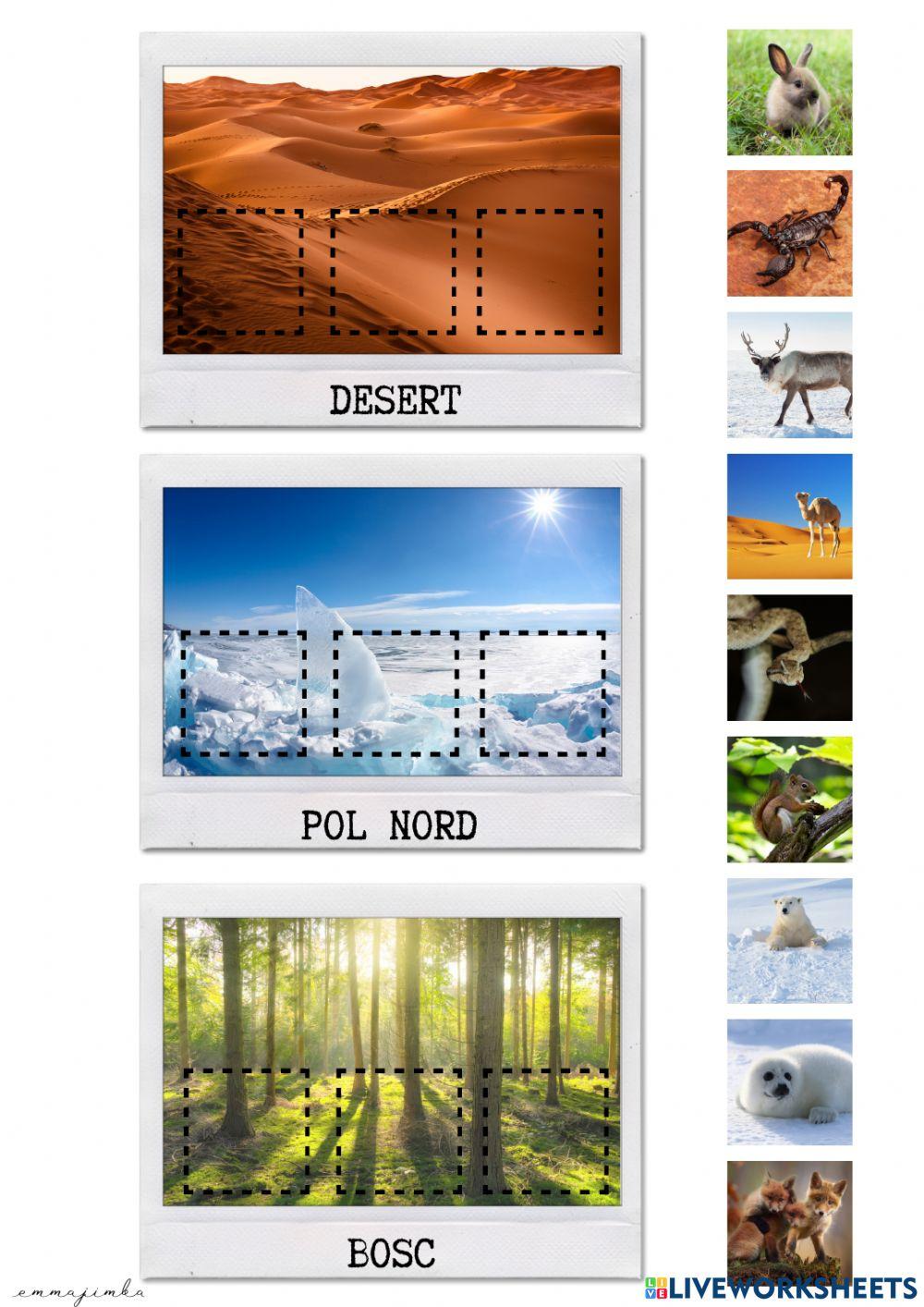 On viuen aquests animals? III