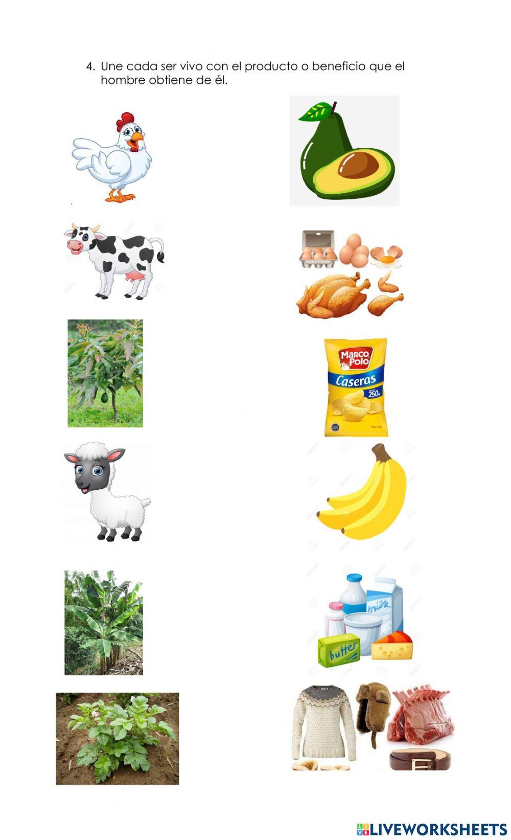 Evaluación de Ciencias