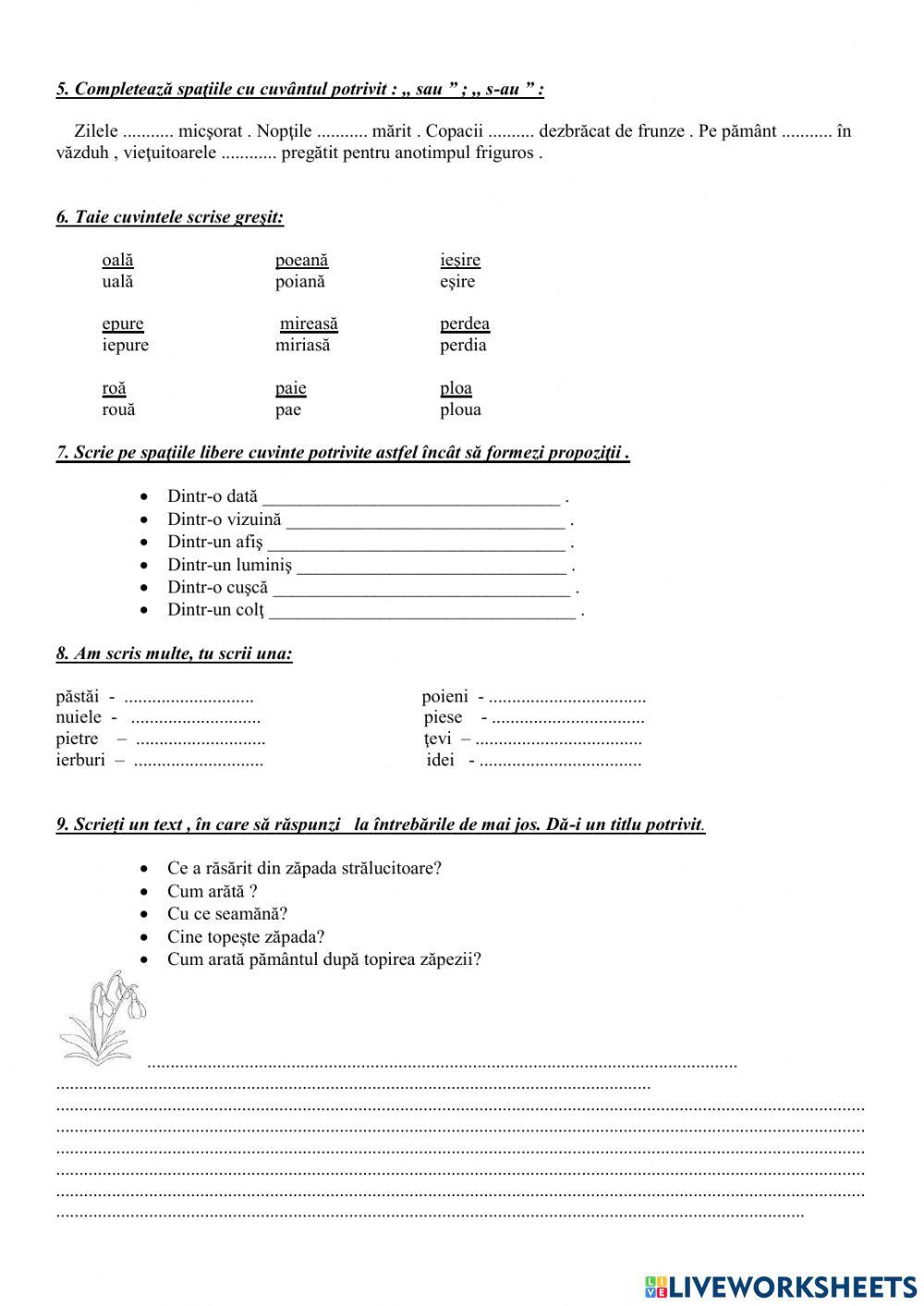 Test de evaluare „Poveștile naturii”