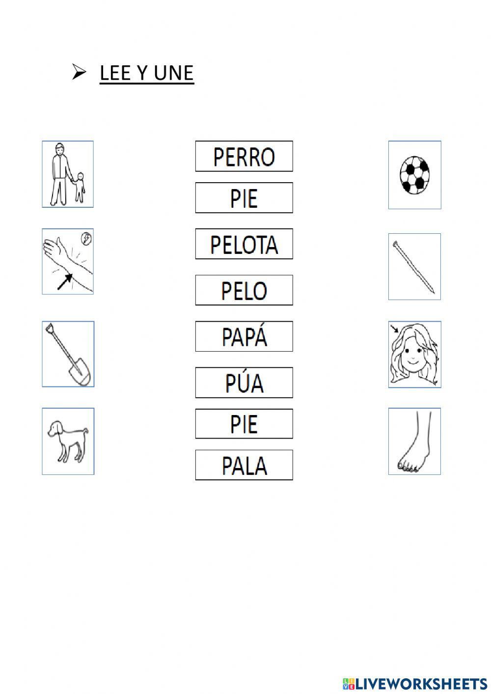 Lectura comprensiva palabras