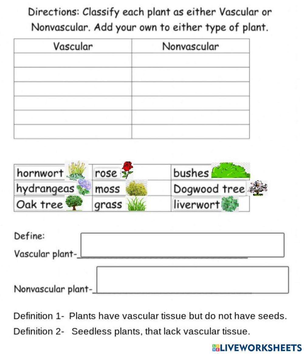 vascular-and-non-vascular-plants-2216-schopra-live