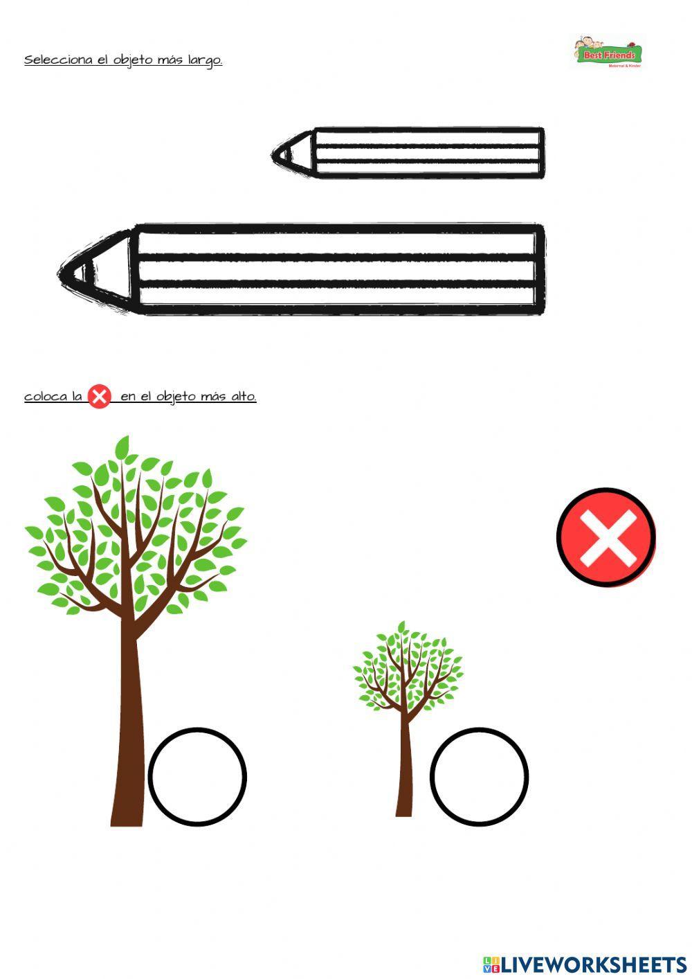 Largo- Corto- Alto- bajo