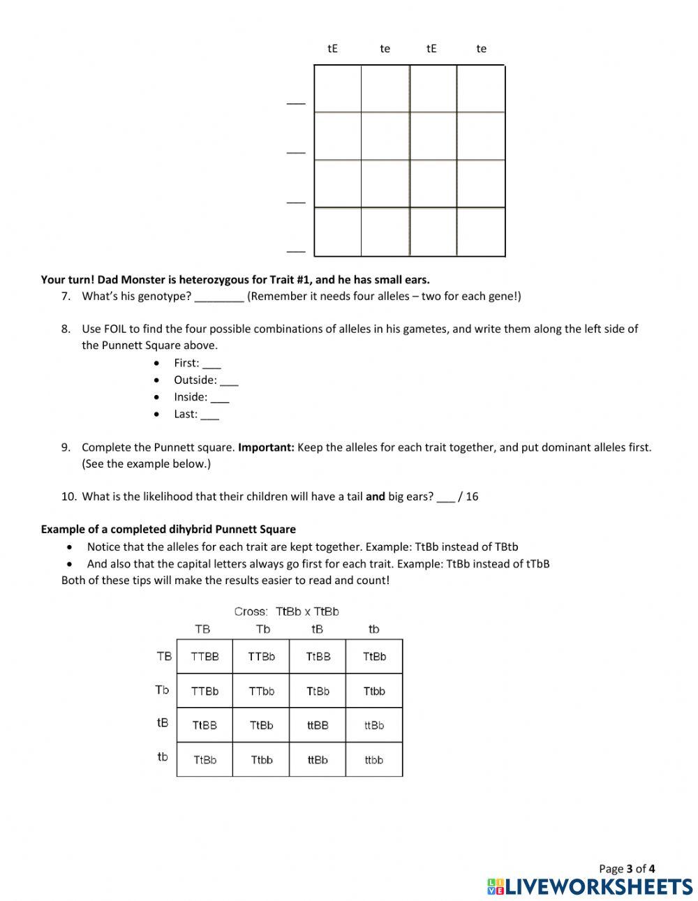 Unit 4 - Fun with Punnetts (Dihybrid - Complete)