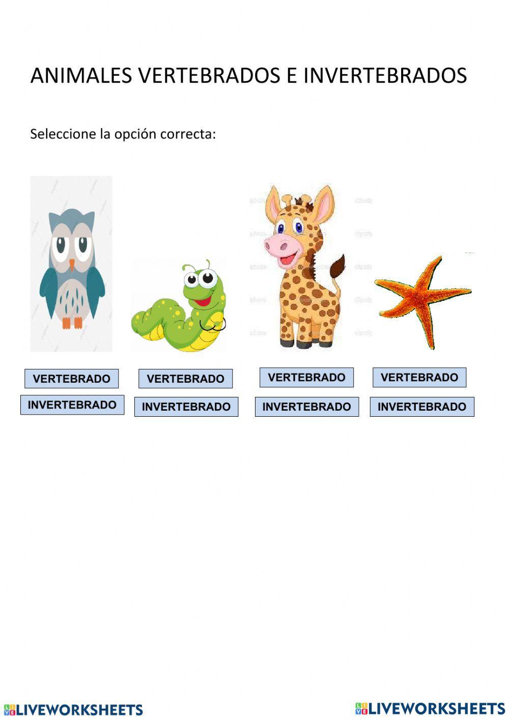 Animales vertebrados e invertebrados