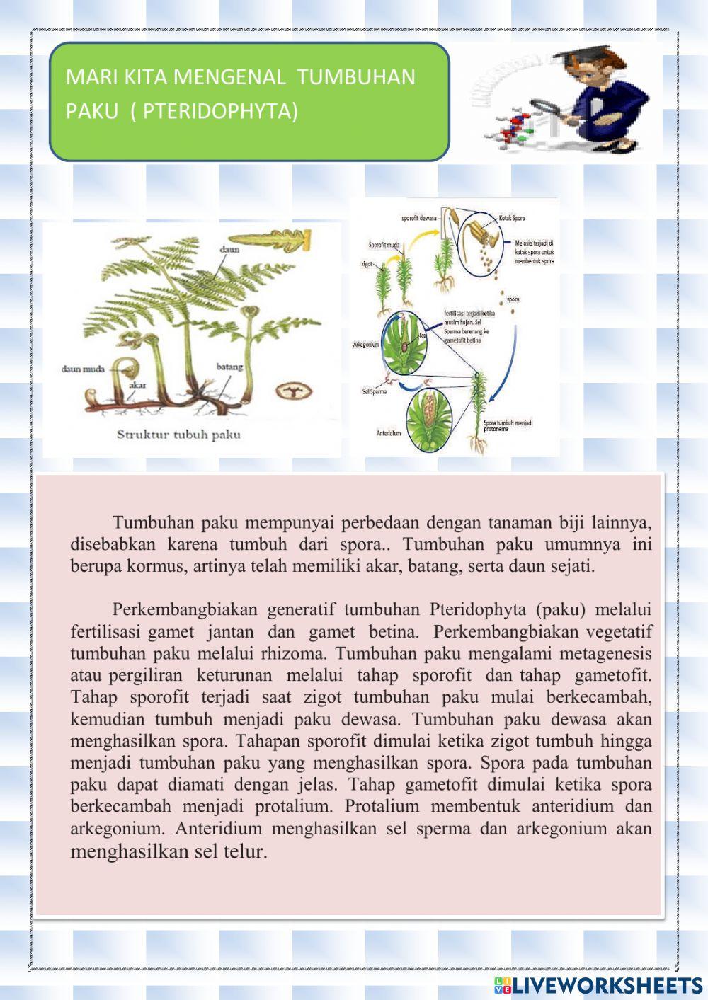 LKPD REPRODUKSI TUMBUHAN PTERIDOPHYTA kelas 9