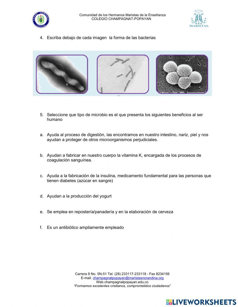 Establezco relaciones entre microorganismos y salud