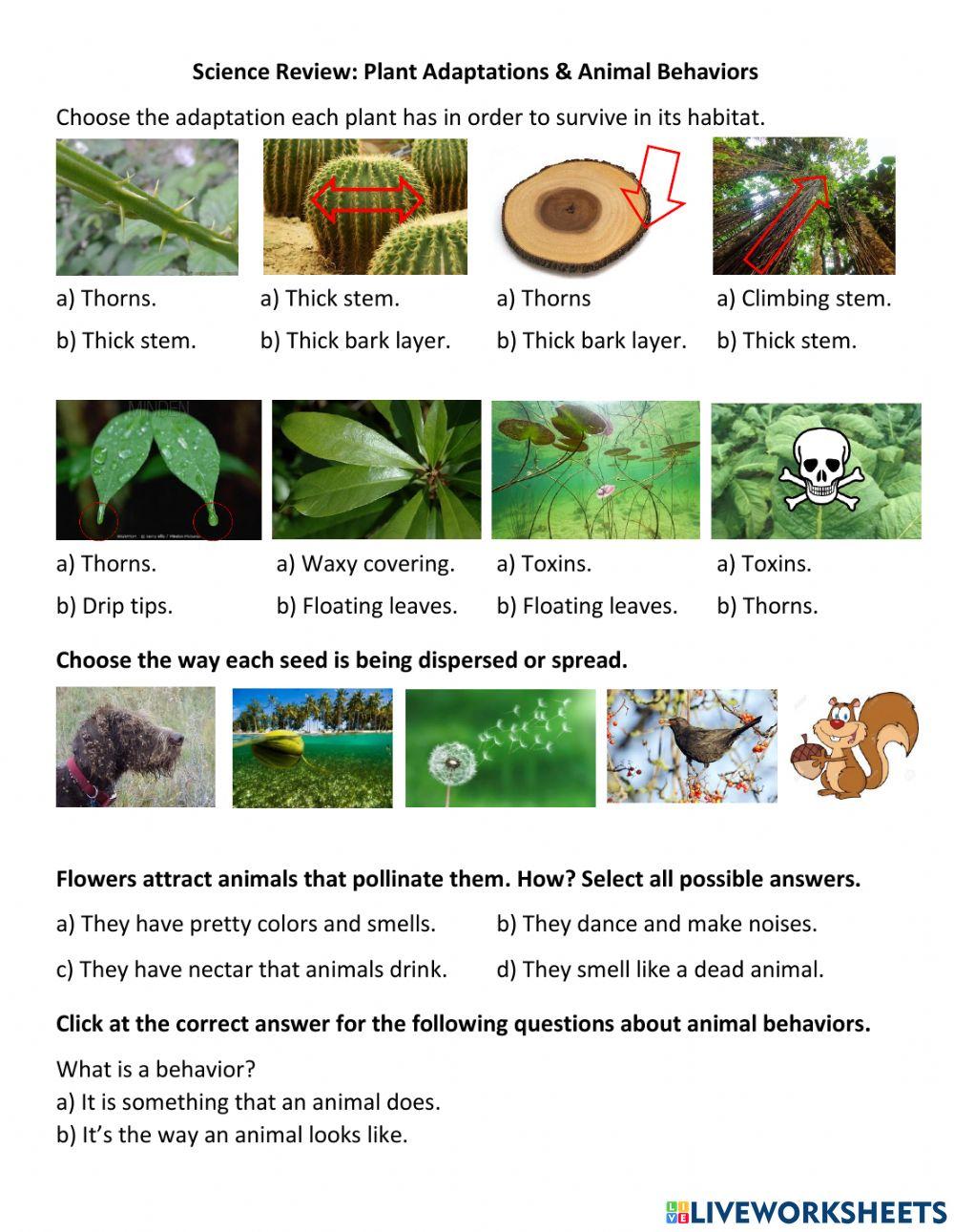 Science quiz plant adaptations and animal behaviors