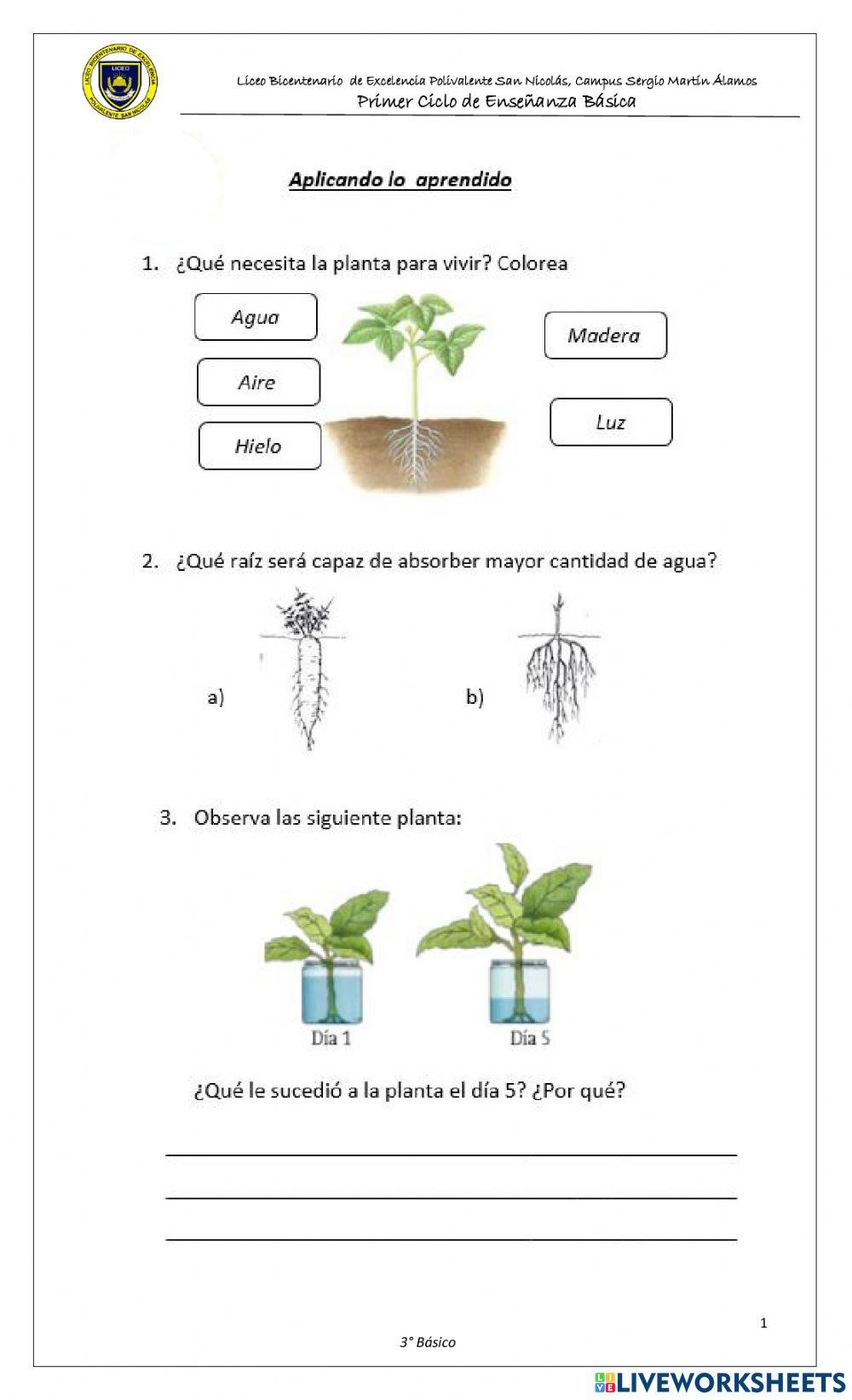 Función partes de la planta