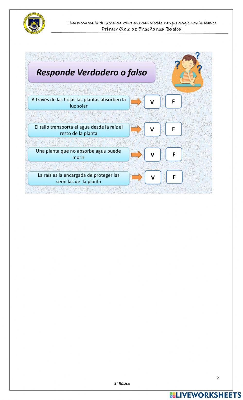 Función partes de la planta