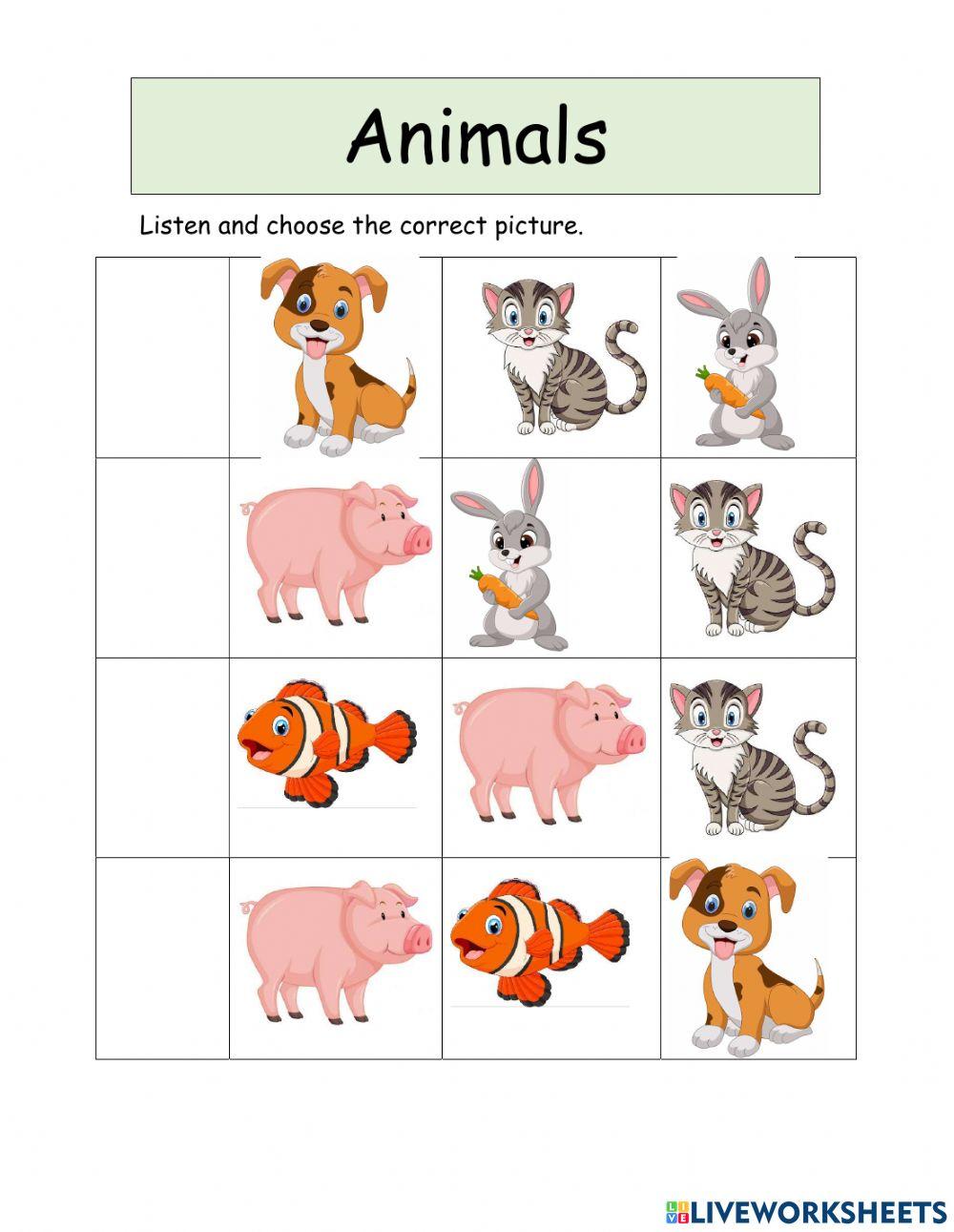Animals