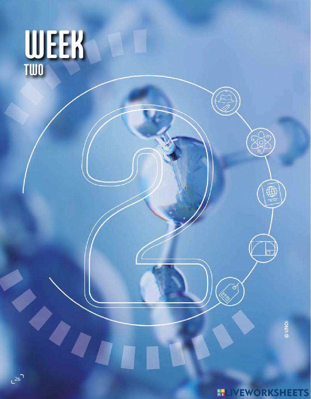 SOCIAL STUDIES T3 WK 2 ROMULUS PAST CONTINUOUS