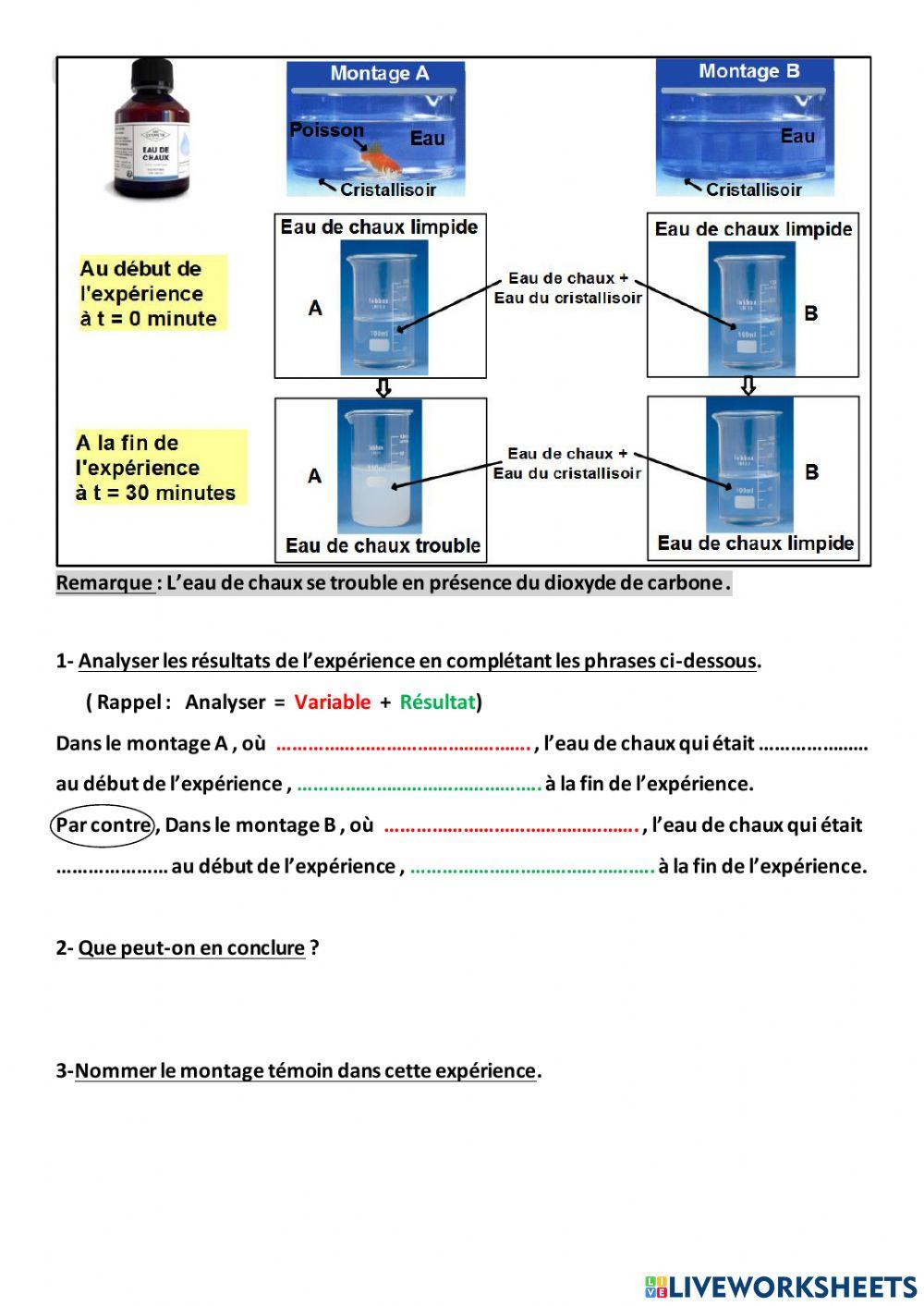 Respiration chez le poisson