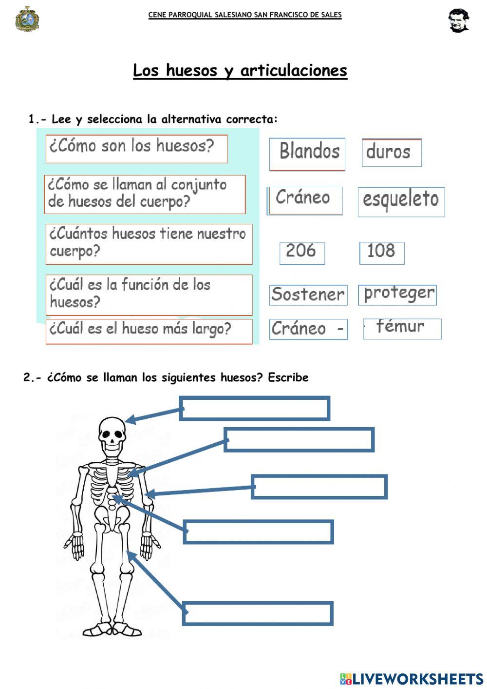 Sfs - HUESOS Y ARTICULACIONES