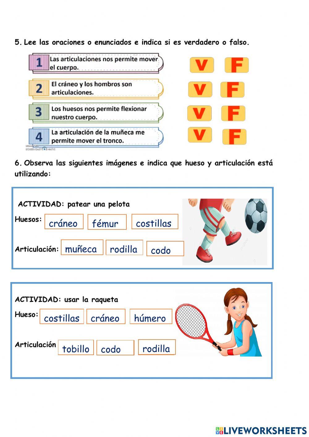 Sfs - HUESOS Y ARTICULACIONES