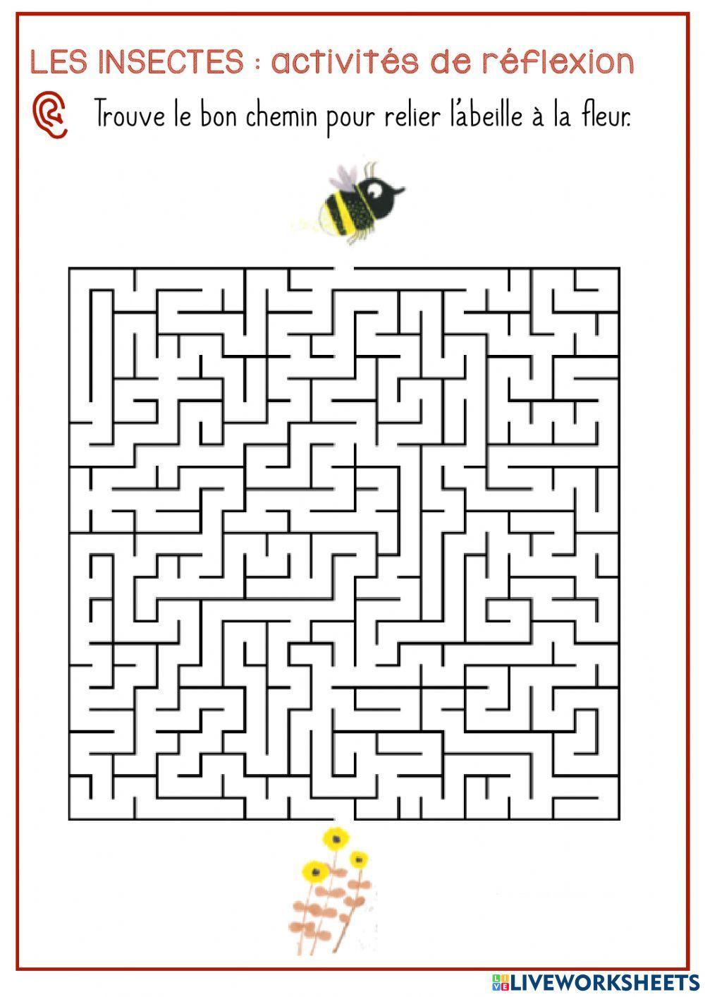 Les insectes : activités de réflexion-4