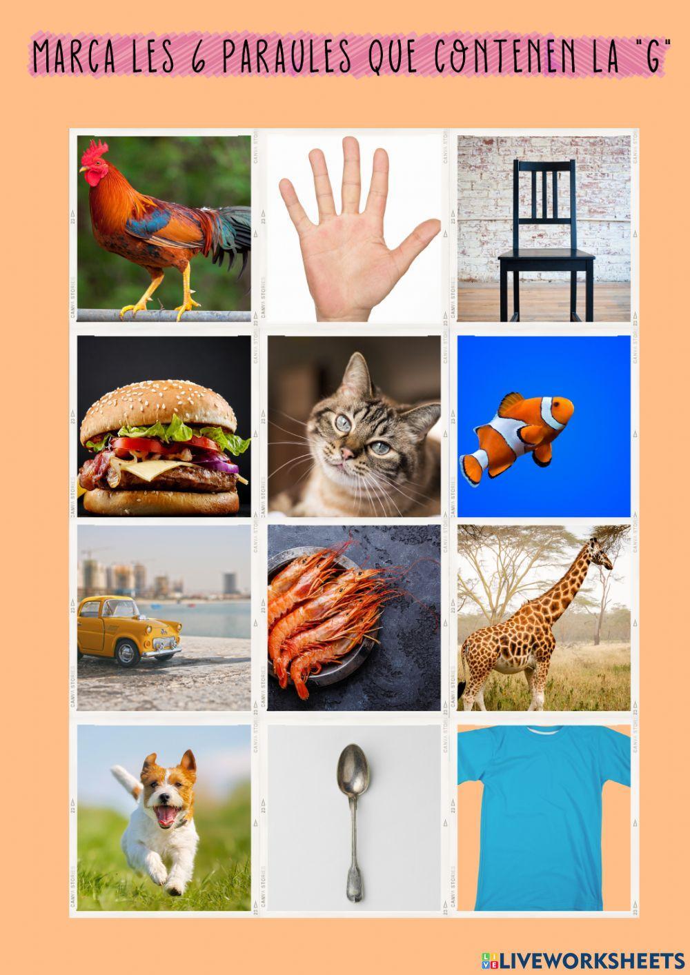 Busca les imatges amb la lletra G