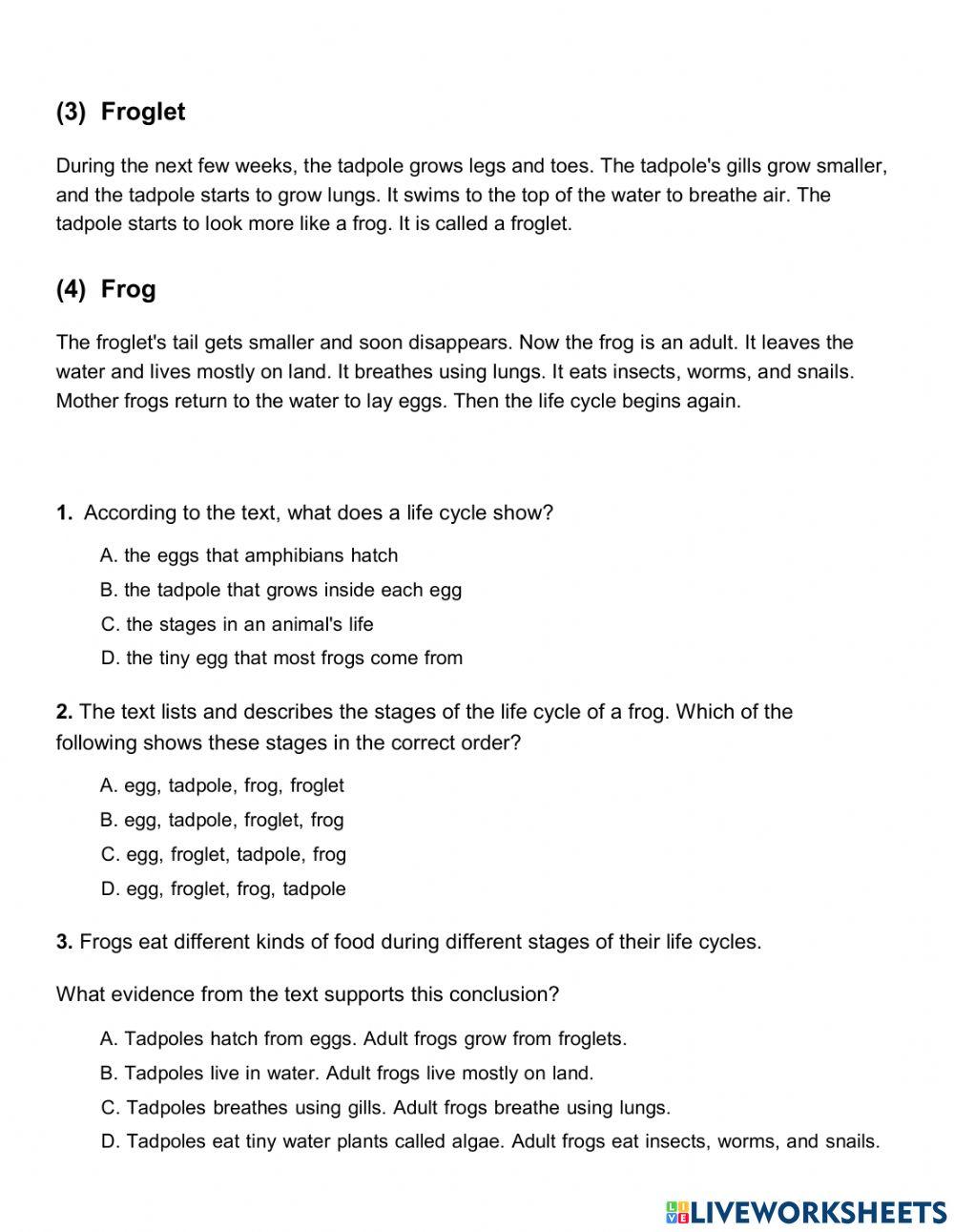 Life Cycle of a Frog