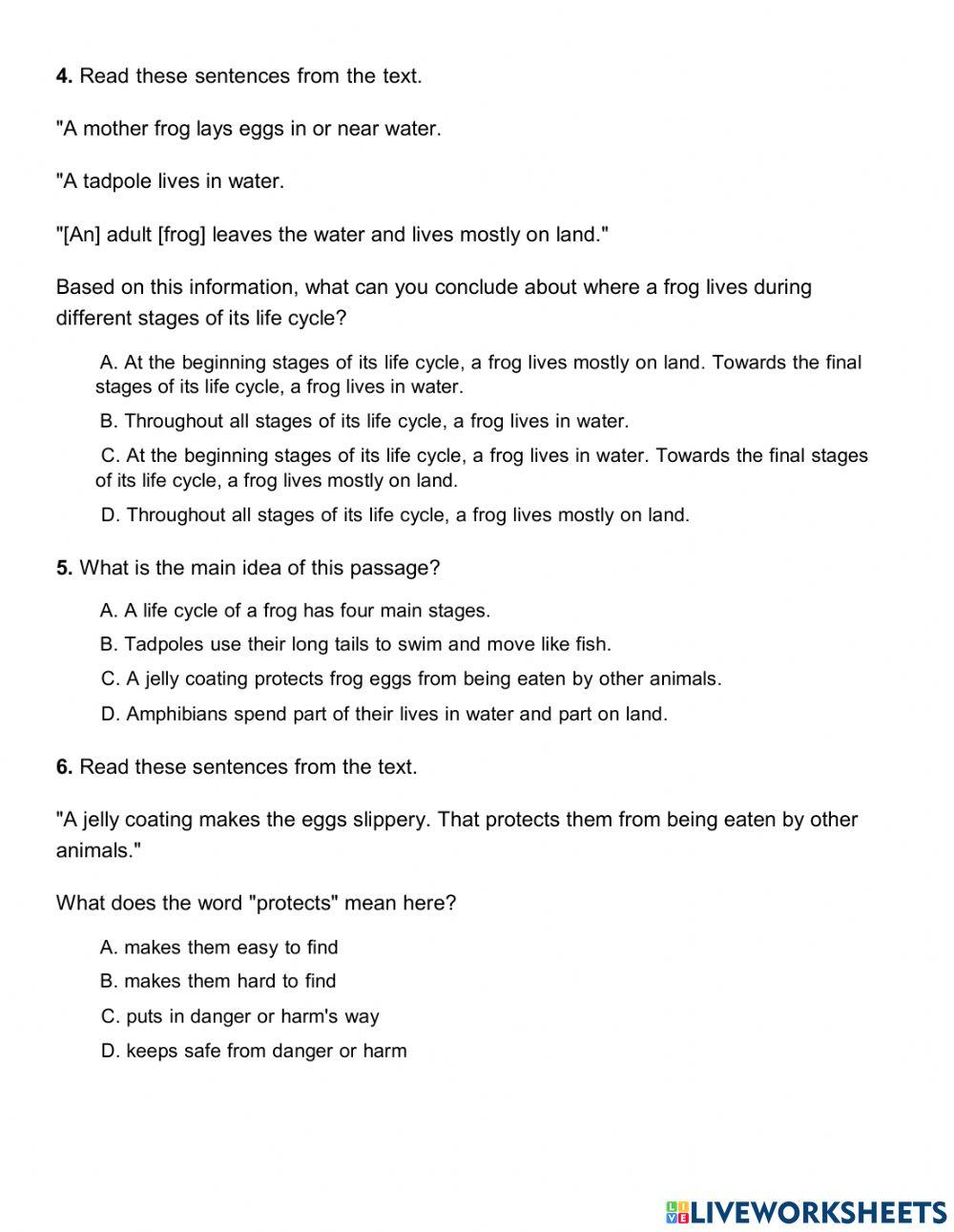 Life Cycle of a Frog