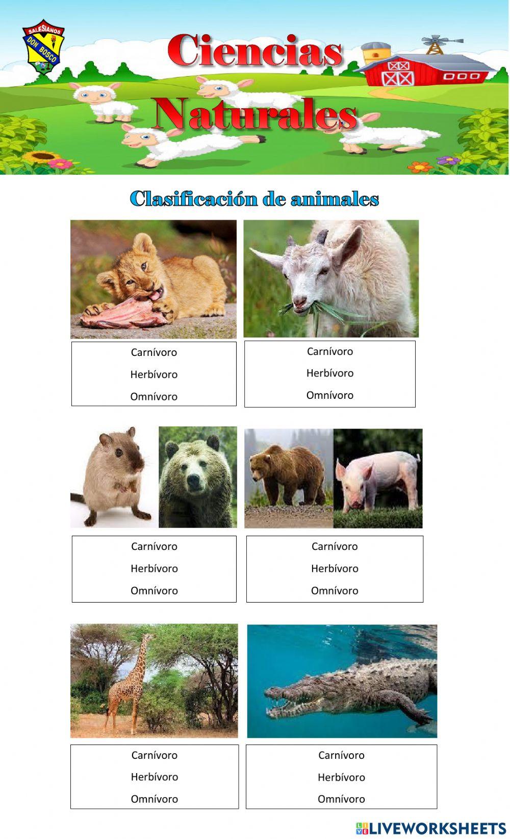 Clasificación de animales