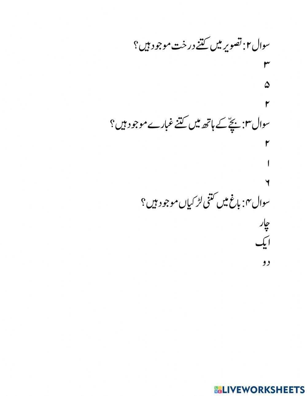 تصویری تفہیم