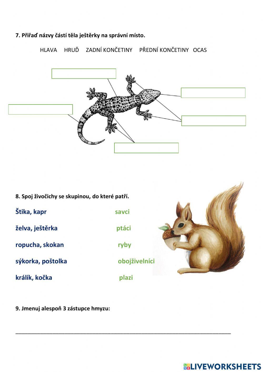 Živočichové - opakování