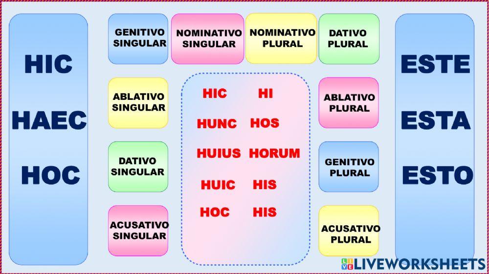Hic, haec, hoc (masc. singular y plural)