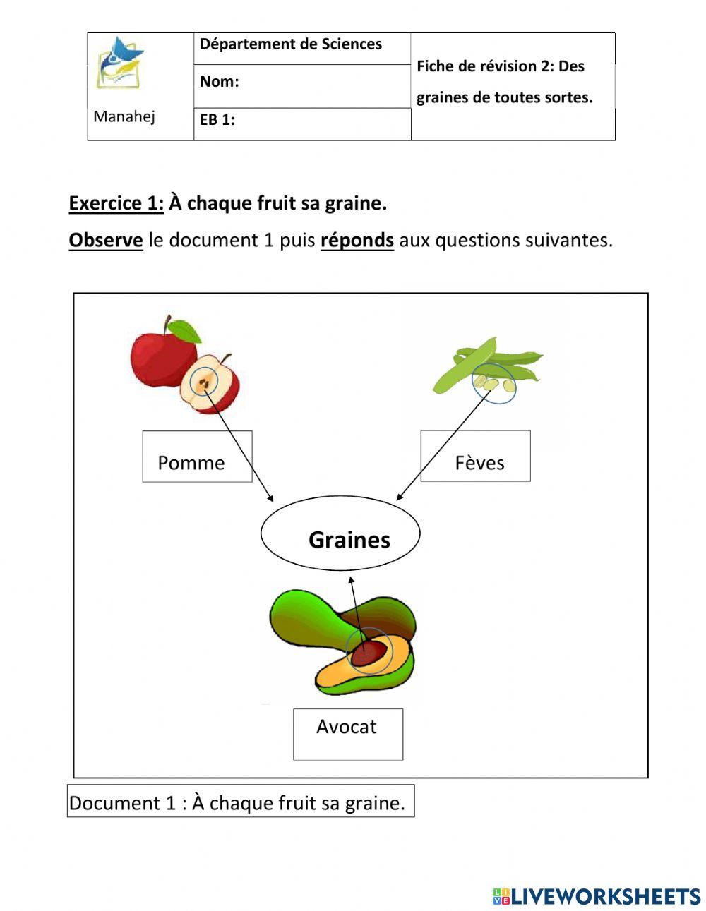 Des graines de toutes sortes fiche eb1