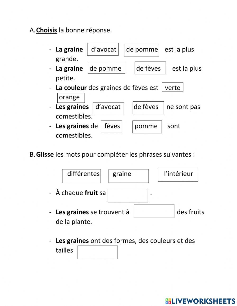 Des graines de toutes sortes fiche eb1