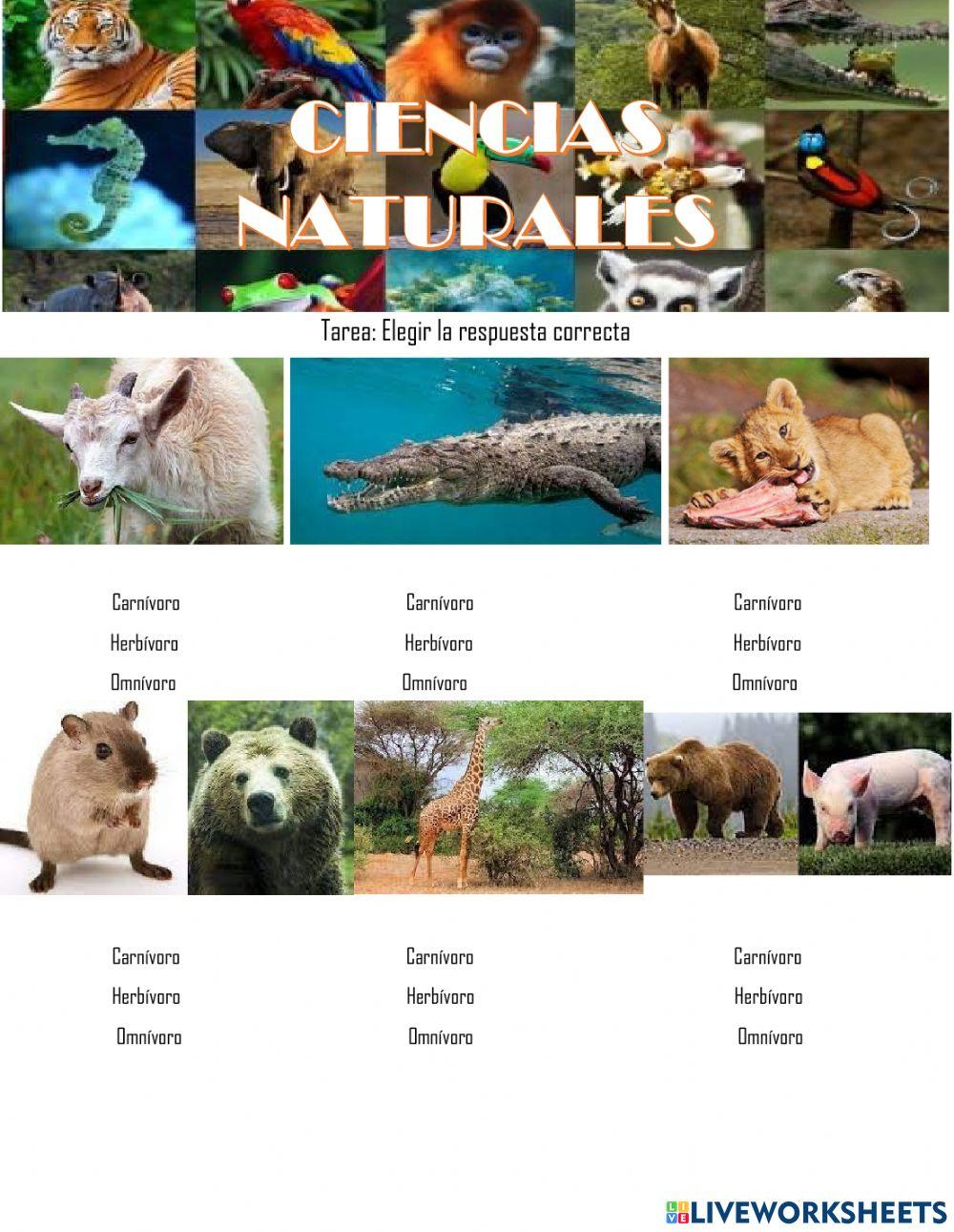 Los Animales C.Naturales