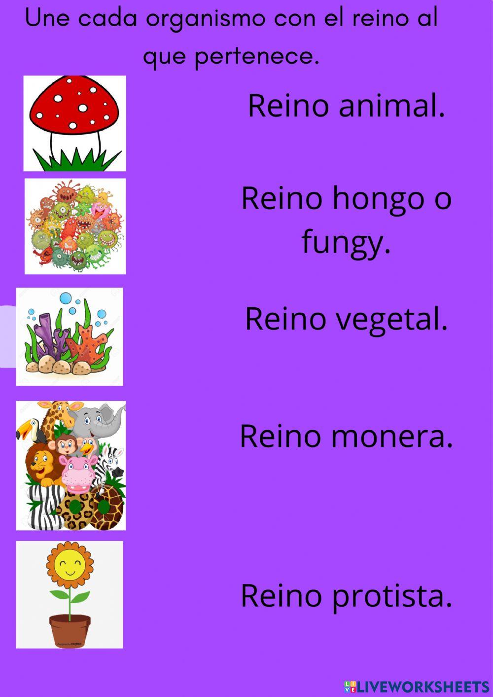 Reinos de la naturaleza