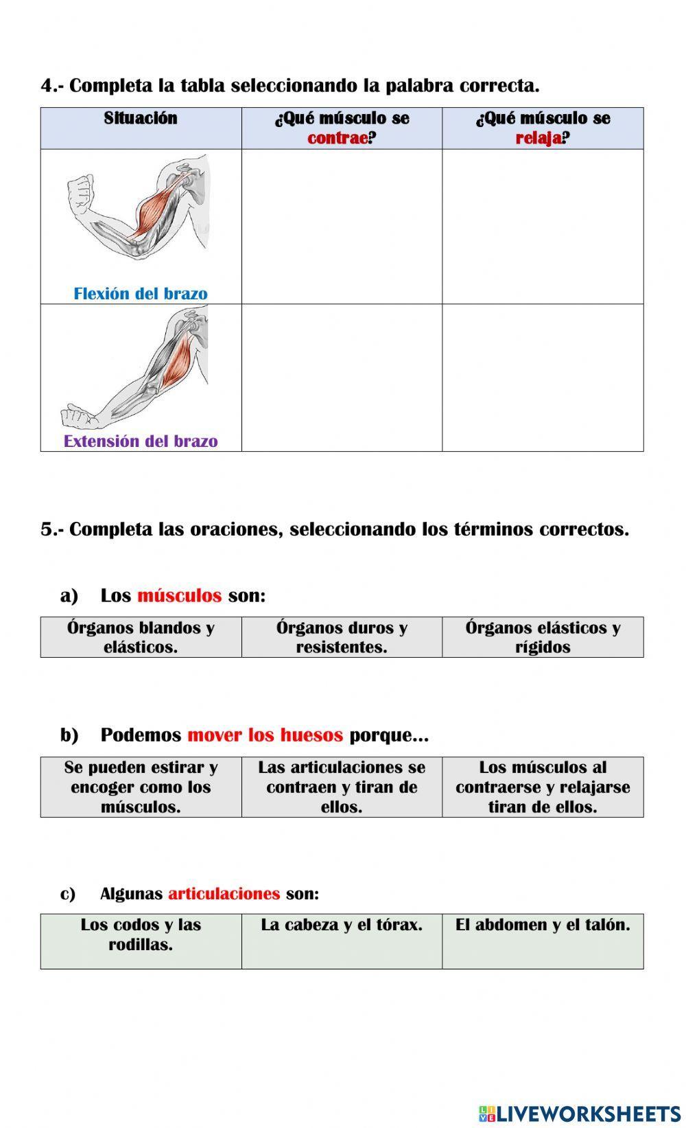 El sistema locomotor