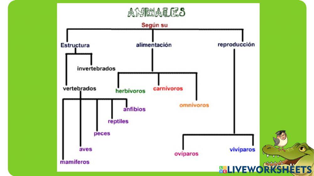 Repaso seres vivos 5°